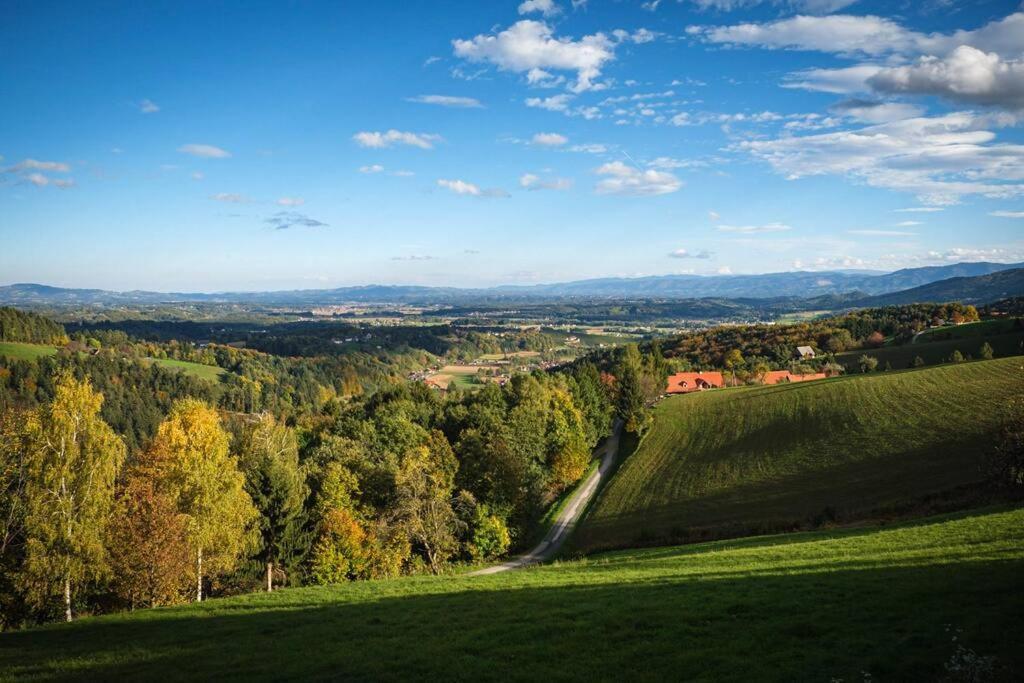 Chalet-Suedsteiermark - Traumhafte Aussicht, Infinity Pool, Privatsphaere, Klima Und De-Luxe Ausstattung Schwanberg ภายนอก รูปภาพ